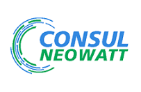 Consul Neowatt India Pvt Ltd .